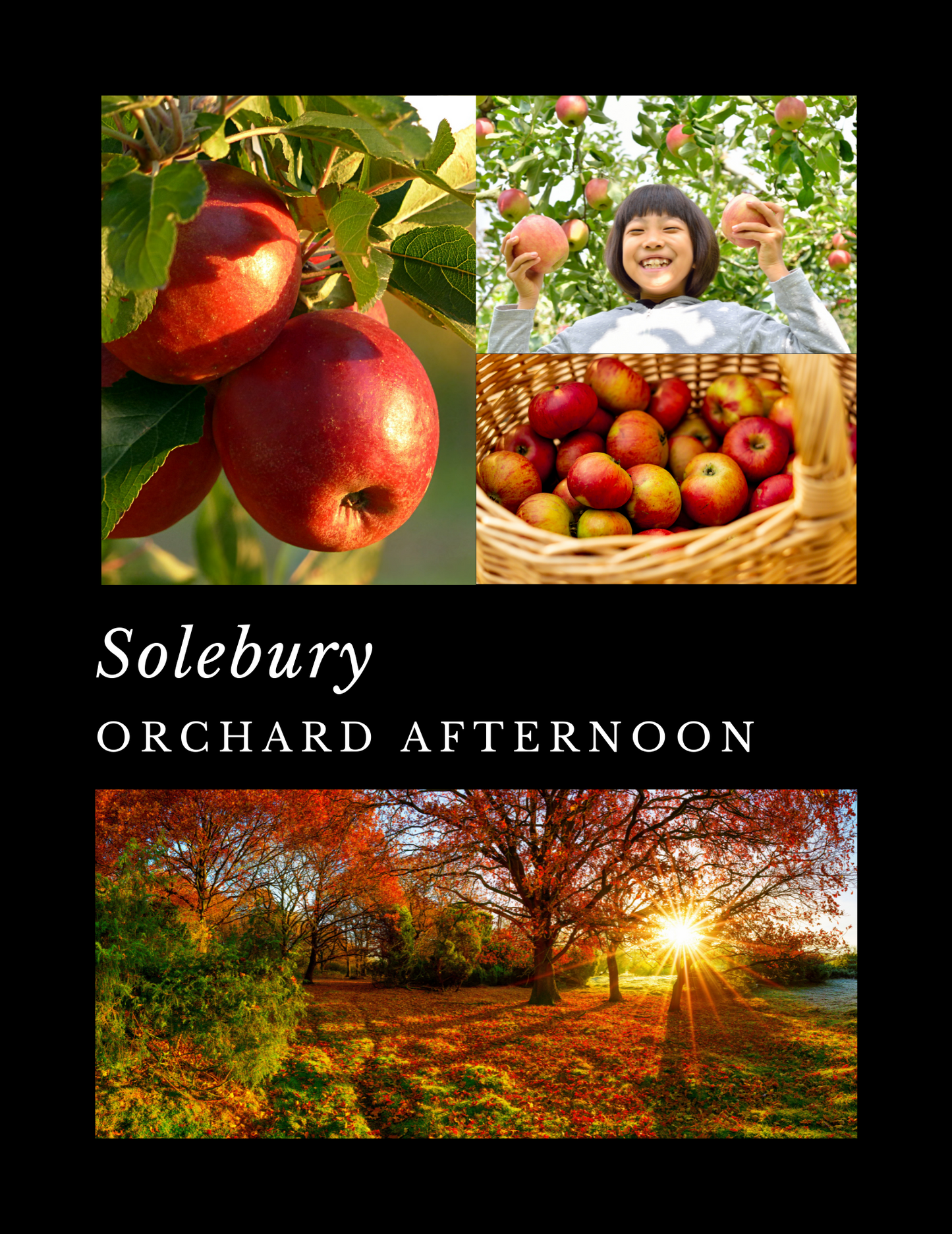 Solebury- Orchard Afternoon - Wooden Wick Candle