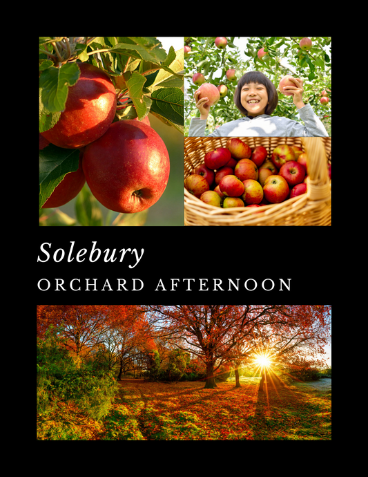 Solebury- Orchard Afternoon - Wooden Wick Candle