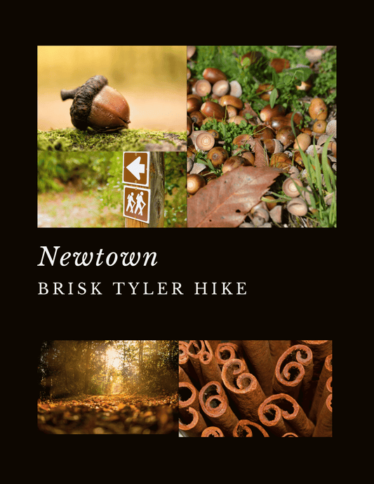 Newtown - Brisk Tyler Hike - Wooden Wick Candle