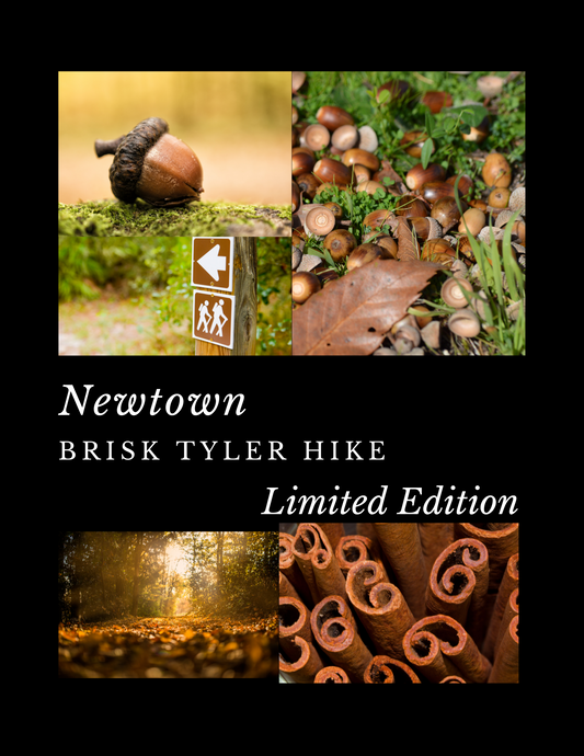 Newtown - Brisk Tyler Hike - Wooden Wick Candle