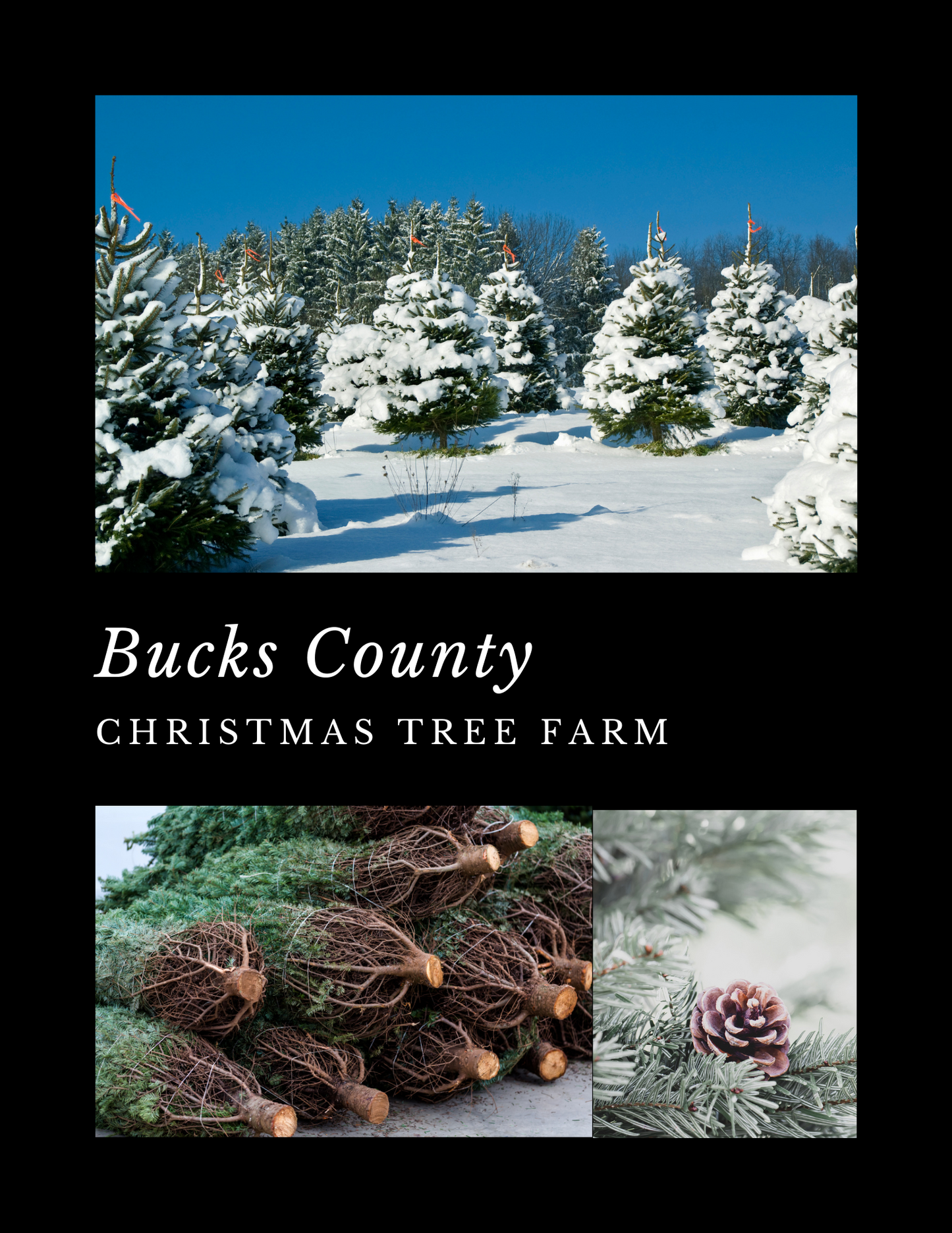 Bucks County- Christmas Tree Farm - Wooden Wick Candle